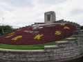 IMG_0096 (1)