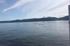 IMG_4944