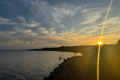 20260802_195653_C96716