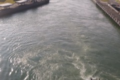 01292005385