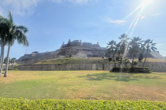 0Maya