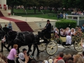 Pella pictures May 2015 003