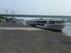 Rhine River Cruise 2017