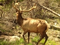 Rocky Mountains Holiday Tour June 2015 034