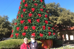 Oh Christmas Tree