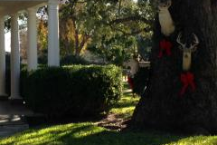LBJ ranch 2