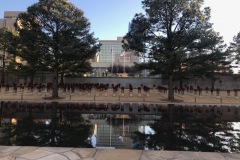 IMG_7102