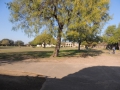 DSCN7571