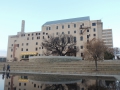 Survivor Tree OKC Memorial