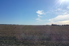 20160316_095709