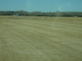 DSC03627