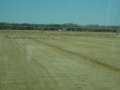 DSC03628