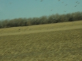DSC03629