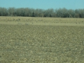 DSC03630