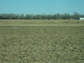 DSC03631