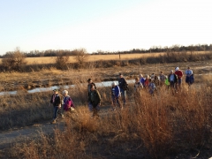 Sandhill Crane Migration Tour 2015