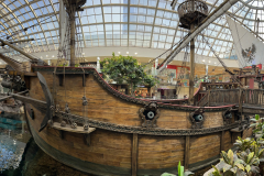 IMG_5118