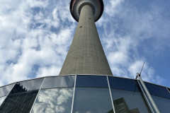 IMG_6917