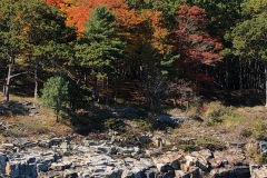 IMG-4870