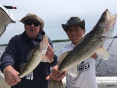 Trophy Walleye Fishing  Spring 2018