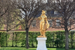 29