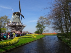 Tulip Time on the Romantic Rhine and Mosel River Cruise 2019
