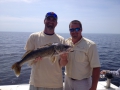 MJ Tours- Andrew- 29.5