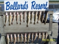 Fishing Trip 7