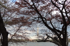 DSCN2977