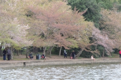 DSCN2982