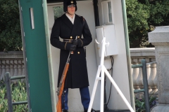 DSCN3033