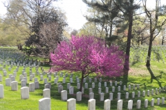 DSCN3050