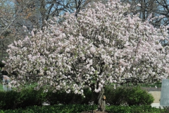 DSCN3055
