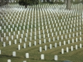 Arlington Cemetary