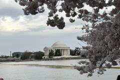 20250330_052426_1EE87E